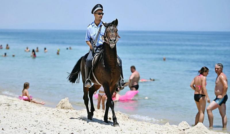 В Совфеде туристам рекомендовали отказаться от поездок в Тунис