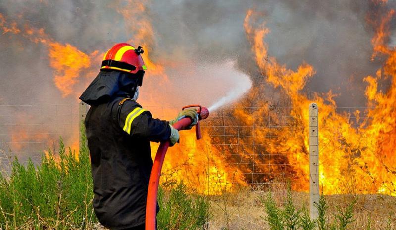 На пожарах в Греции погибло более 60 человек