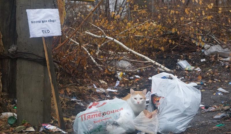 Отели России вынуждены платить за вывоз мусора из расчета 100% заполняемости номеров