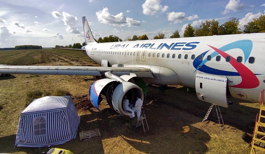 Севший в поле самолет Уральских авиалиний законсервируют перед транспортировкой: обещают, что он еще полетит
